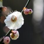 问鼎www:提升用户粘性的有效方法探讨 7zfd9j6kwh