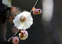 问鼎www:提升用户粘性的有效方法探讨 问鼎www:提升用户粘性的有效方法探讨