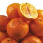 壹号娱乐H5的活动与促销信息一览 epp25nlc