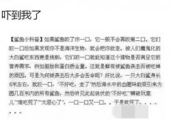 问鼎www:成功案例分析:从零到一的旅程 问鼎www:成功案例分析:从零到一的旅程